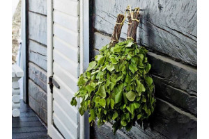 Как правильно запаривать веник для бани?