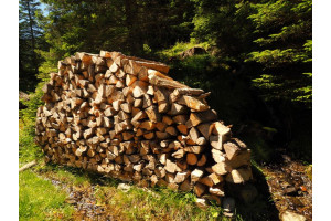 Как правильно и быстро высушить дрова дома?