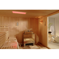 Электрокаменка EOS Bi-O Star 18,0 кВт