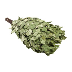 Веник березовый