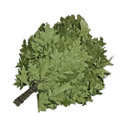 Веник дубовый