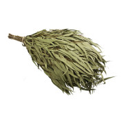 Веник эвкалиптовый