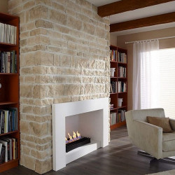 Напольный биокамин Asсot lux