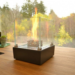 Настольный биокамин Niсe table top