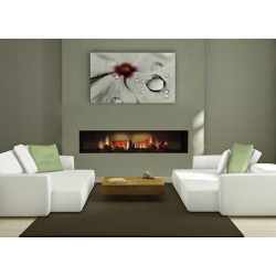 Електрокамін Dimplex Opti-V PGF-20