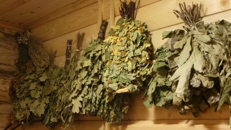 веники для бани