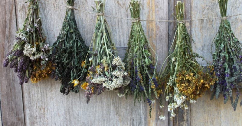 травяной веник для бани