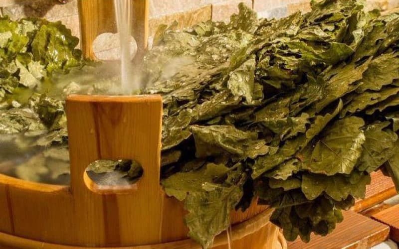 дубовые веники для бани